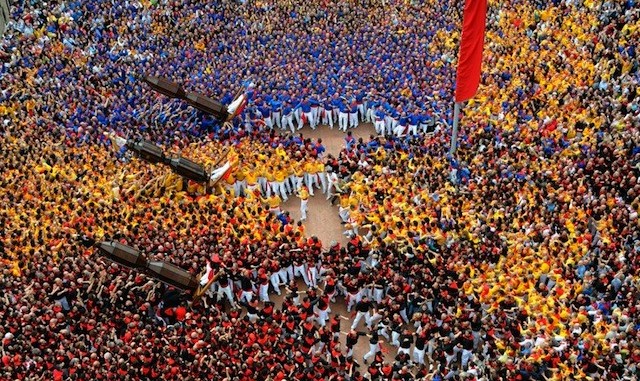 Festa dei Ceri, torna la diretta su Trg Media
