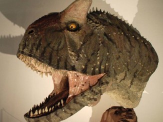 Tornano i Dinosauri, dal 19 settembre a Gubbio