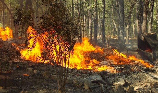 Umbria in fiamme, incendi nella zona della Pian d'Assino