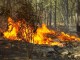 Umbria in fiamme, incendi nella zona della Pian d'Assino