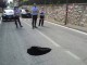 Cavità via Tifernate a Gubbio, nuove indagini per messa in sicurezza