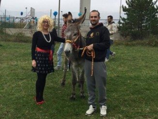 Asino Serafino alla Scuola Primaria “Otello Sordi” di San Rocco