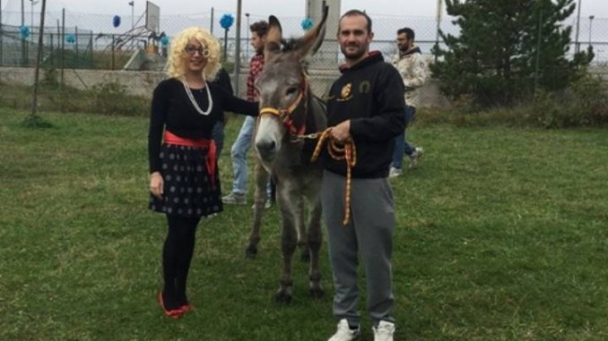 Asino Serafino alla Scuola Primaria “Otello Sordi” di San Rocco
