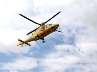 Bimbo di due anni azzannato da un cane al collo, operato ad Ancona, non è in pericolo di vita