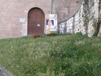 Stato di abbandono del verde pubblico nel centro storico