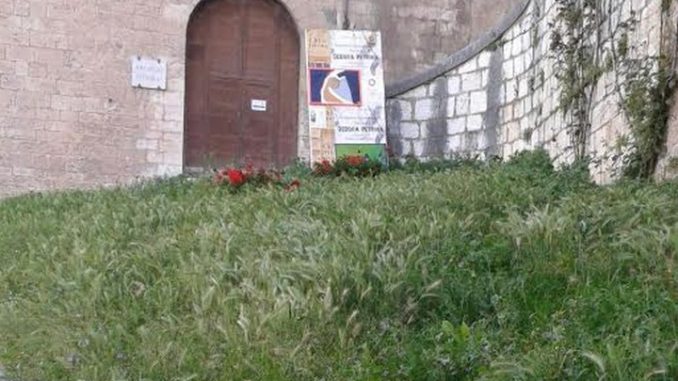 Stato di abbandono del verde pubblico nel centro storico