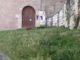 Stato di abbandono del verde pubblico nel centro storico
