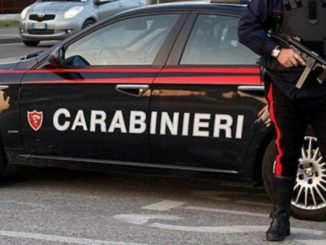 Rubano pali in legno da recinto sito archeologico, sorpresi dai carabinieri