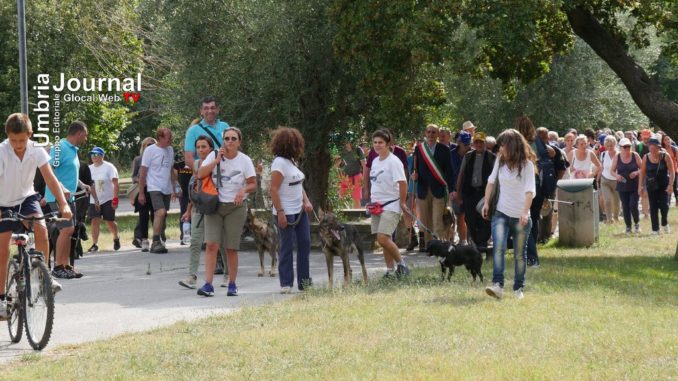 Sentiero di Francesco 2016, si chiude a Gubbio, arrivati i circa 300 pellegrini