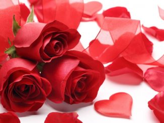 Amore e arte si fondono a San Valentino, a Gualdo Tadino, città a forma di cuore