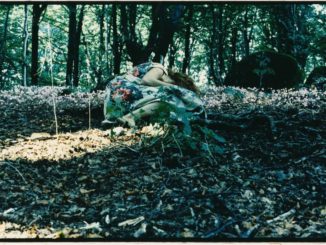 Suoni Controvento Parco Monte Cucco concerto Dimitri Grechi Espinoza