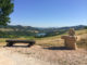 Ippovia su Via di Francesco turismo sostenibile salta in sella