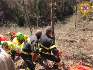 Boscaiolo ferito mentre taglia alcune piante, ha fratture a una gamba