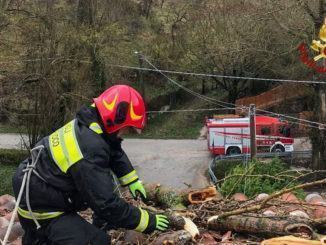 A Vaccara di Gualdo Tadino un albero si è schiantato su una casa