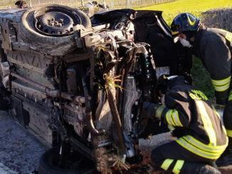 Flaminia, morto animale, ferito conducente, investe cinghiale sulla Statale