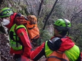 Sasu salva cane spericolato, era sul Monte Cucco a 40 metri di altezza