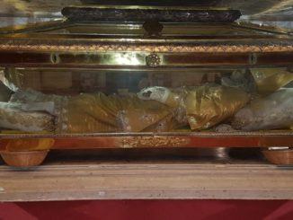 Solennità di San Rinaldo a Nocera Umbra in concattedrale