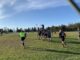Il Rugby Gubbio espugna anche Foligno, vincono Senior e Under 15
