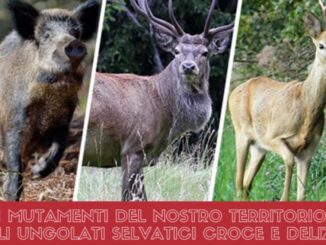 A Gualdo Tadino convegno sui mutamenti del territorio, declino di una civiltà millenaria quale quella rurale
