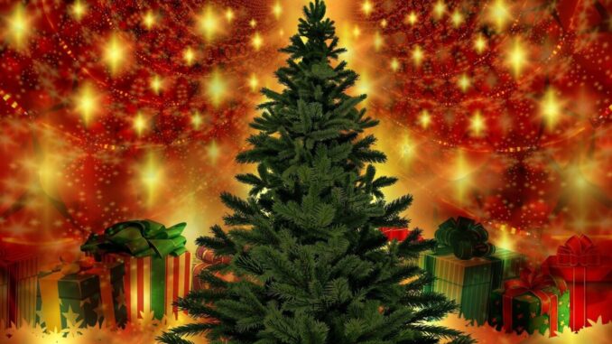 Nocera Umbra il borgo dei presepi, oltre 30 eventi a Natale