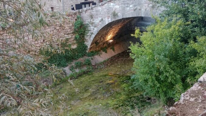 Gubbio, Lega: "Torrente Camignano in condizioni di incuria e degrado"