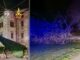 Gubbio: Vigili del Fuoco intervengono per alberi e addobbi Natalizi rovesciati dal vento