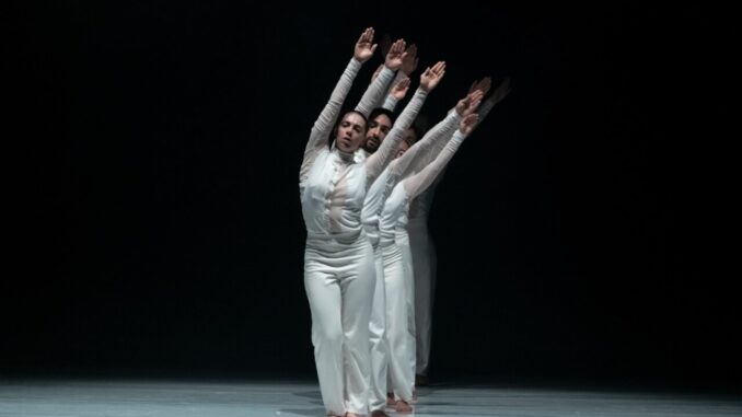 white room COB ph. Riccardo Panozzo (3)