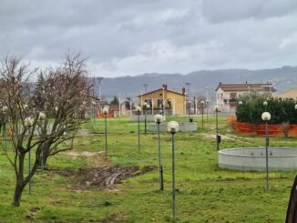 Via ai lavori per il Parco dei Dinosauri