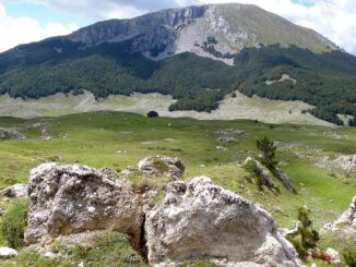 Fascia appenninica, territorio abbandonato su industria ambiente e investimenti