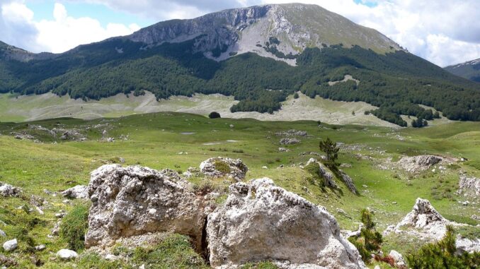 Fascia appenninica, territorio abbandonato su industria ambiente e investimenti Fascia appenninica, territorio abbandonato su industria ambiente e investimenti