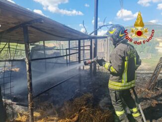 Incendio a Gubbio: stalla e rimessa agricola in fiamme, animali salvati dai Vigili del Fuoco