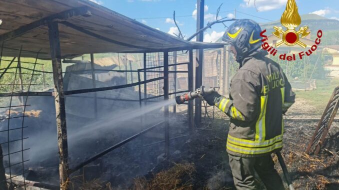 Incendio a Gubbio: stalla e rimessa agricola in fiamme, animali salvati dai Vigili del Fuoco