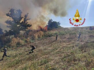 Incendio a Collemincio: fiamme minacciano azienda agricola