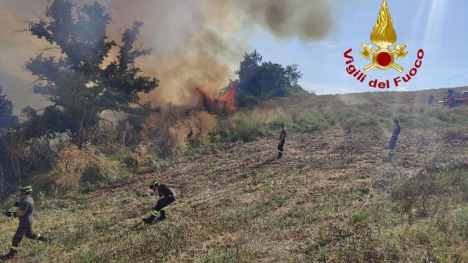 Incendio a Collemincio: fiamme minacciano azienda agricola