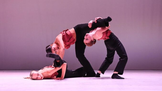 Conferenza stampa di Gubbio Danz'Week il 19 novembre