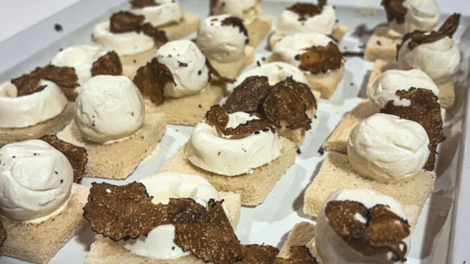 Inaugurata la 43ma Mostra Mercato del Tartufo a Gubbio