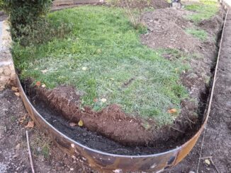 Lavori ai giardini storici di Gubbio, protesta cittadina in corso