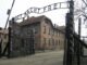 Giorno della Memoria, Eugubini in ricordo delle vittime Olocausto