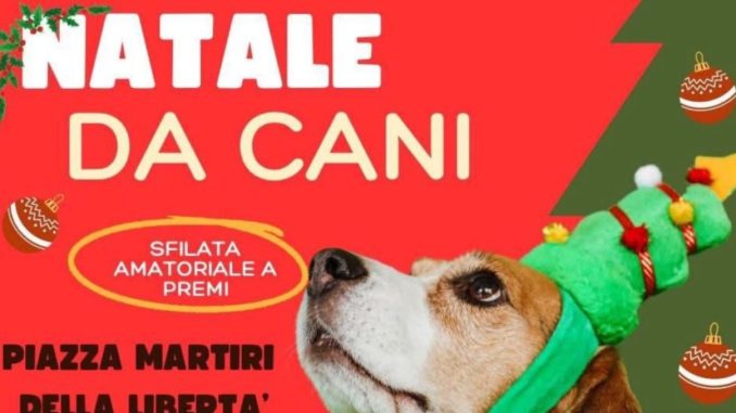 Sfilata "Natale da Cani" a Gualdo Tadino il 5 gennaio