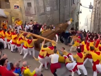 Migliorano condizioni donna ferita nella caduta del cero