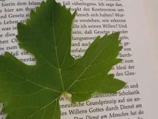 La Biblioteca Comunale di Gualdo Tadino presenta "I segreti delle piante"