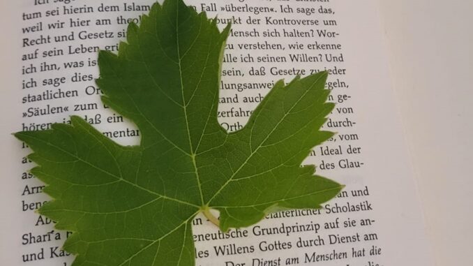 La Biblioteca Comunale di Gualdo Tadino presenta "I segreti delle piante"