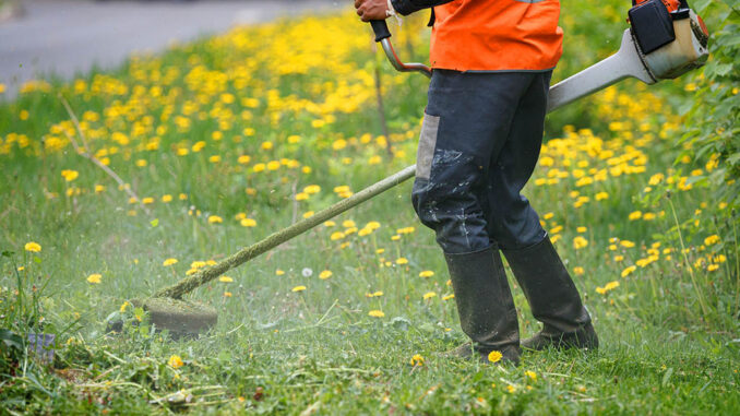 Manutenzione strade e verde, da Afor 125mila euro di finanziamento