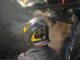 Fiamme a Gubbio, due cani morti nell’incendio di un canile