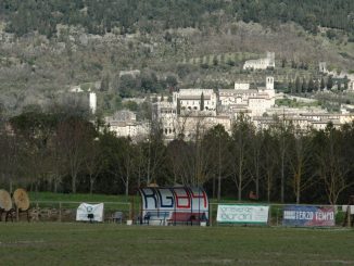 Rugby Gubbio apre la stagione con test match e Open Day