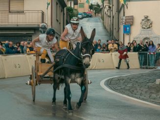 Prove ufficiali carretto e pelo al via a Gualdo Tadino