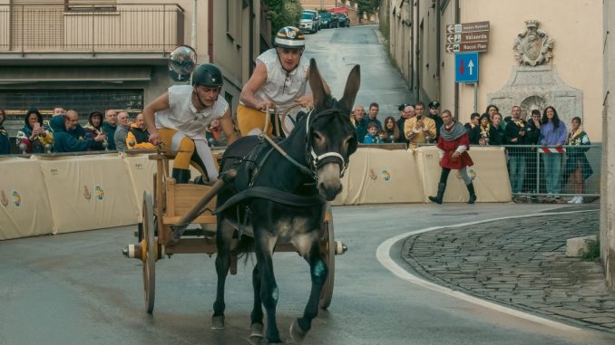 Prove ufficiali carretto e pelo al via a Gualdo Tadino