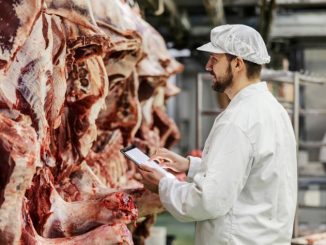 Macellazione suini domestici e controlli sanitari in Umbria