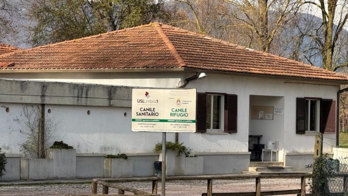 Comune e Asl garantiscono futuro al canile sanitario