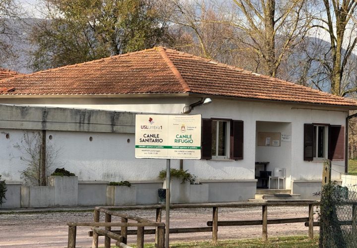 Comune e Asl garantiscono futuro al canile sanitario